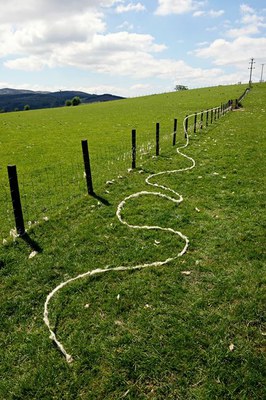 Andy Goldsworthy, Barbed wire wool, Dumfriesshire, Scotland, 29 May 2018, 2018 Unique archival inkjet print  90 x 60 cm 35 7/16 x 23 5/8 inches Courtesy Galerie Lelong & Co. New York.