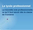 présentation voie professionnelle