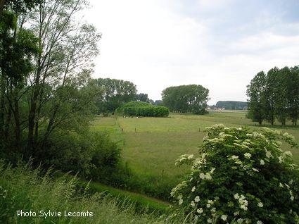 Carrières de Templeuve