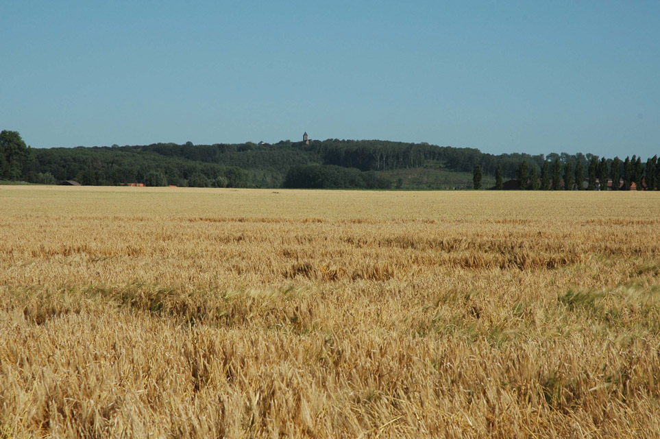 Mont St Aubert